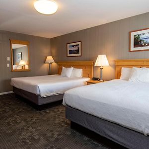 Poolside Room 1 King 1 Queen Bed